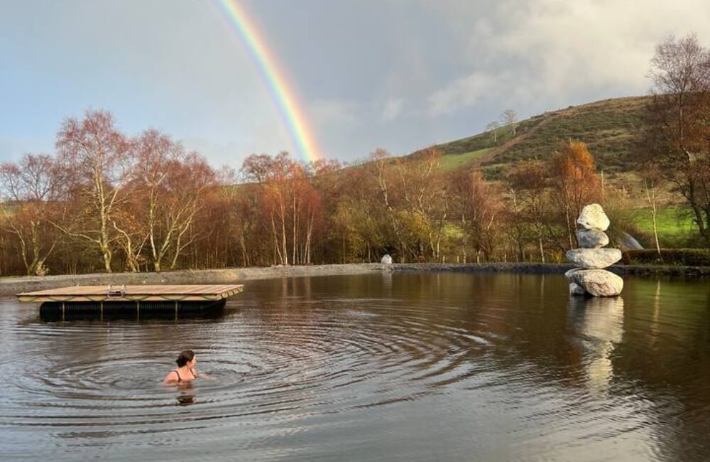 Lily in the new lake
